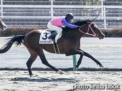 カラープリント(アルミ枠なし)2017年3月12日中京3R 3歳未勝利(メイショウイッポン)