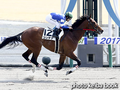 カラープリント(アルミ枠付き)2017年3月12日中京6R 4歳上500万下(コンテナ)