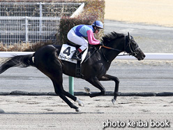 カラーパネル2017年3月12日中京9R 4歳上500万下(ウォーターシャウト)