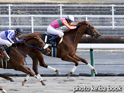 カラープリント(アルミ枠なし)2017年3月12日中京10R 昇竜ステークス(テイエムヒッタマゲ)