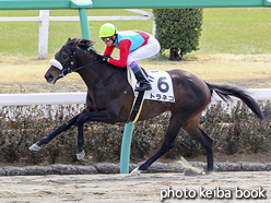 カラーパネル2017年3月12日中山2R 3歳未勝利(トラネコ)