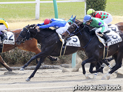 カラープリント(アルミ枠なし)2017年3月12日中山3R 3歳未勝利(タイセイマルス)