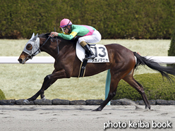 カラープリント(アルミ枠付き)2017年3月18日阪神1R 3歳未勝利(タガノマニカ)