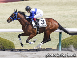 カラーパネル2017年3月18日阪神2R 3歳未勝利(ロードソリスト)