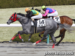 カラープリント(アルミ枠なし)2017年3月18日阪神4R 3歳新馬(ミザイ)