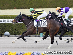 カラーパネル2017年3月18日阪神8R 4歳上500万下(シンゼンスタチュー)