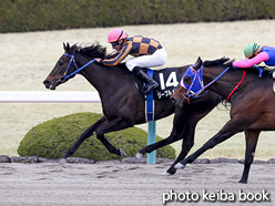 カラーパネル2017年3月18日阪神10R なにわステークス(ジープルメリア)