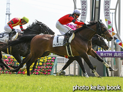 カラーパネル2017年3月18日中京4R 障害未勝利(アレルキナーダ)