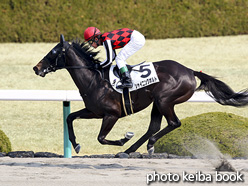 カラープリント(アルミ枠なし)2017年3月19日阪神2R 3歳未勝利(シャイニングボルト)