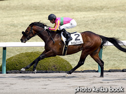 カラーパネル2017年3月19日阪神3R 3歳未勝利(テイエムグッドマン)