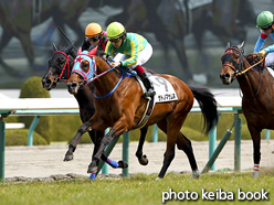 カラープリント(アルミ枠なし)2017年3月19日阪神4R 3歳未勝利(サトノマサムネ)