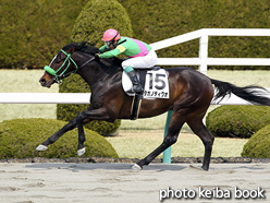 カラーパネル2017年3月19日阪神6R 3歳500万下(タガノディグオ)