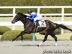 カラーパネル2017年3月19日阪神8R 4歳上500万下(ロードプレステージ)