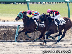 カラープリント(アルミ枠付き)2017年3月19日中山1R 3歳未勝利(セラファン)