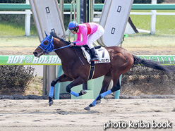 カラープリント(アルミ枠なし)2017年3月19日中山4R 3歳新馬(ナスノカンザン)