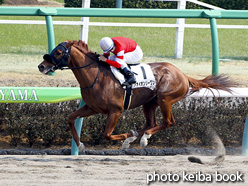 カラーパネル2017年3月19日中山7R 4歳上500万下(アオイオンリーワン)