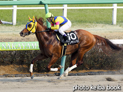 カラープリント(アルミ枠付き)2017年3月19日中山10R 千葉ステークス(ナンチンノン)