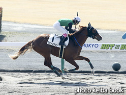 カラーパネル2017年3月20日中京1R 3歳未勝利(クリノフウジン)