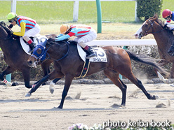 カラープリント(アルミ枠付き)2017年3月20日中山3R 3歳未勝利(リトルレグルス)