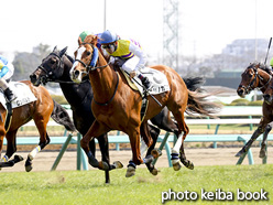 カラーパネル2017年3月20日中山7R 4歳上500万下(ニシノカブケ)