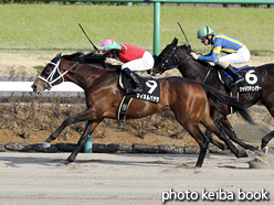 カラープリント(アルミ枠なし)2017年3月20日中山10R 韓国馬事会杯(マイネルバサラ)