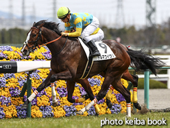 カラーパネル2017年3月25日阪神4R 3歳未勝利(デルマコイウタ)