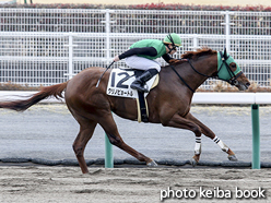 カラーパネル2017年3月25日中京2R 3歳未勝利(クリノピョートル)