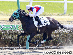 カラープリント(アルミ枠付き)2017年3月25日中山2R 3歳未勝利(ブランシュ)