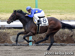 カラープリント(アルミ枠付き)2017年4月1日中山3R 3歳未勝利(コトブキホーク)