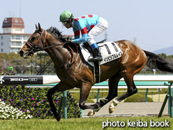 カラープリント(アルミ枠なし)2017年4月2日阪神3R 3歳未勝利(インビジブルレイズ)