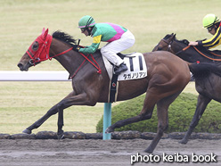 カラープリント(アルミ枠なし)2017年4月8日阪神1R 3歳未勝利(タガノリアン)