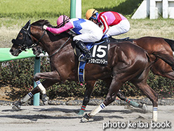 カラーパネル2017年4月16日中山9R 利根川特別(トウカイエントリー)