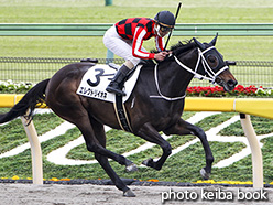 カラープリント(アルミ枠なし)2017年4月22日東京1R 3歳未勝利(エレクトリイオネ)