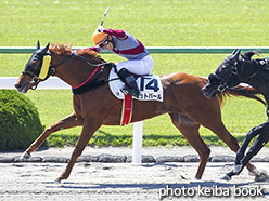 カラーパネル2017年4月23日京都1R 3歳未勝利(ゼットパール)