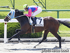 カラーパネル2017年4月30日京都2R 3歳未勝利(メイショウマトイ)