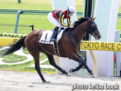 カラープリント(アルミ枠なし)2017年5月7日東京1R 3歳未勝利(ラボーナ)