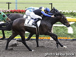 カラーパネル2017年5月14日東京1R 3歳未勝利(ミンネザング)