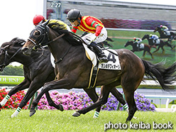 カラープリント(アルミ枠なし)2017年5月28日京都2R 3歳未勝利(カンポデフィオーリ)