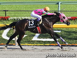 カラーパネル2017年5月28日東京11R 薫風ステークス(ラインシュナイダー)