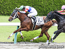 カラープリント(アルミ枠付き)2017年6月3日阪神8R 3歳上500万下(テンザワールド)