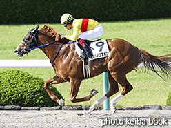 カラープリント(アルミ枠付き)2017年6月3日阪神12R 3歳上500万下(コパノリスボン)