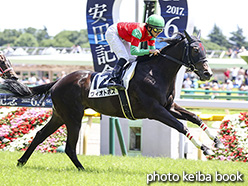 カラープリント(アルミ枠なし)2017年6月3日東京5R 2歳新馬(ヴィオトポス)