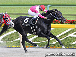 カラープリント(アルミ枠なし)2017年6月3日東京11R 麦秋ステークス(ベストマッチョ)