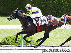 カラープリント(アルミ枠付き)2017年6月4日阪神2R 3歳未勝利(ワイルドフォックス)