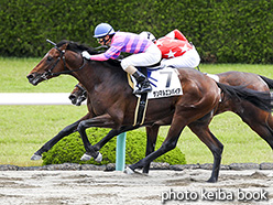 カラープリント(アルミ枠付き)2017年6月4日阪神3R 3歳未勝利(サンマルエンパイア)