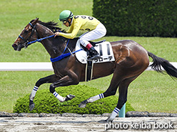 カラープリント(アルミ枠付き)2017年6月10日阪神3R 3歳未勝利(ラローデ)