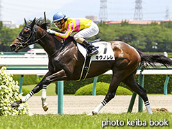 カラープリント(アルミ枠付き)2017年6月10日阪神4R 3歳未勝利(キクノレレ)