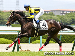 カラープリント(アルミ枠なし)2017年6月10日阪神5R 2歳新馬(アマルフィコースト)