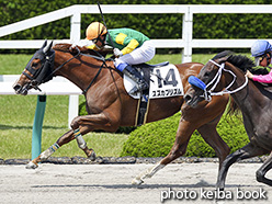 カラープリント(アルミ枠付き)2017年6月10日阪神7R 3歳上500万下(スズカプリズム)