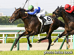 カラープリント(アルミ枠なし)2017年6月10日阪神12R 3歳上500万下(ロードプレミアム)